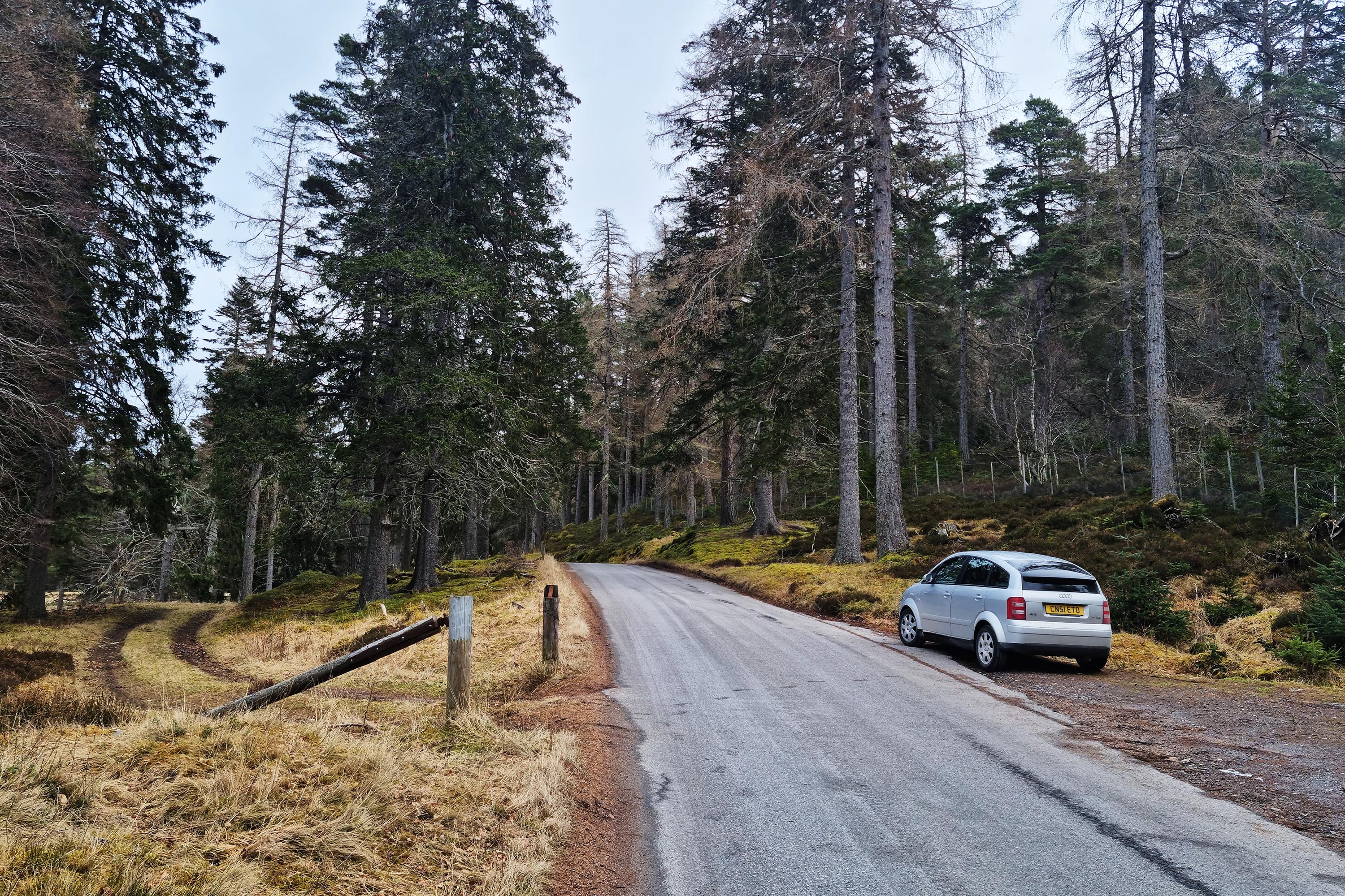 A2 at Linn of Dee.jpg