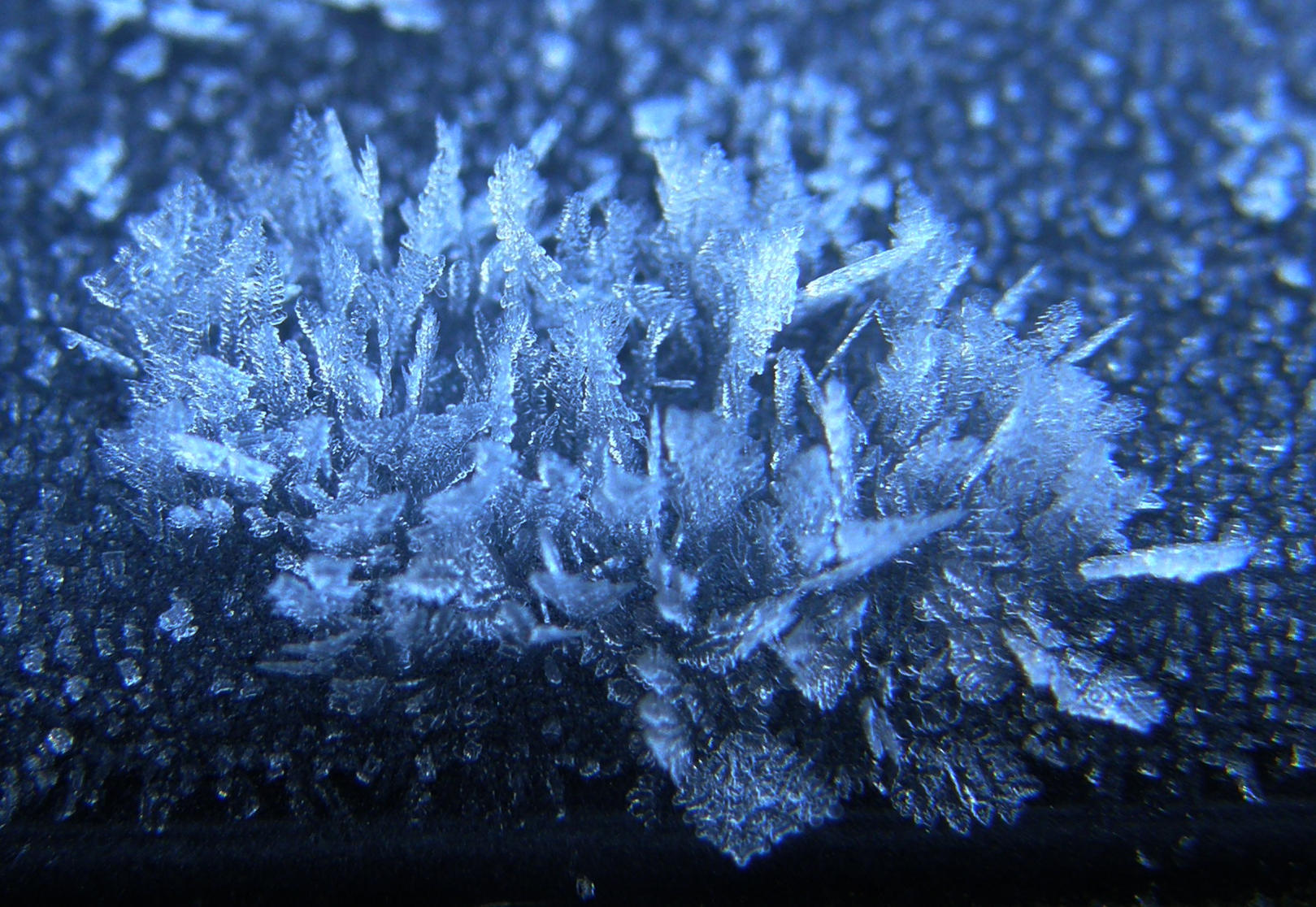 Frost Close-up